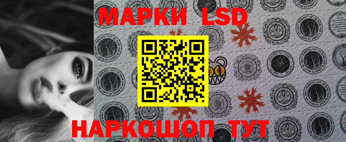 где можно купить наркотик  Наркотические марки 1,8мг  Вход с VPN  Бутурлиновка  Наркотические марки 1,8мг 