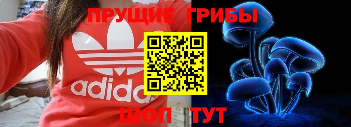 Галлюциногенные грибы ЛСД Бутурлиновка