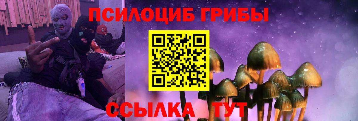хочу   Псилоцибиновые грибы Magic Shrooms  Вход с VPN  Галлюциногенные грибы прущие грибы  Бутурлиновка 